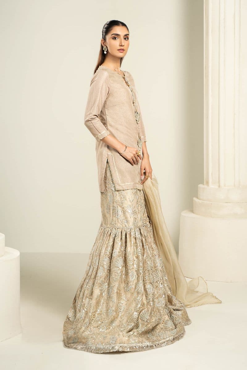 Embroidered Zari Net Fabric (2Pcs) | LF-726 thumbnail