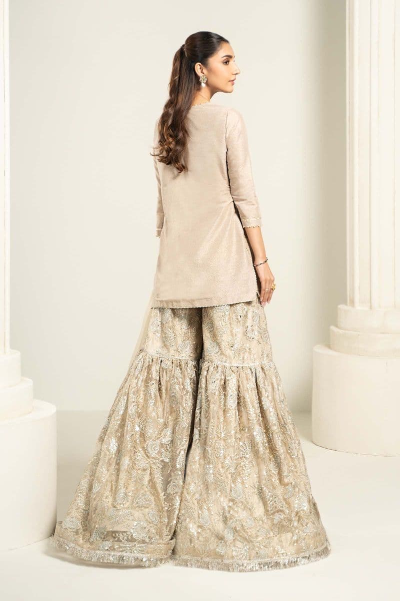 Embroidered Zari Net Fabric (2Pcs) | LF-726 thumbnail
