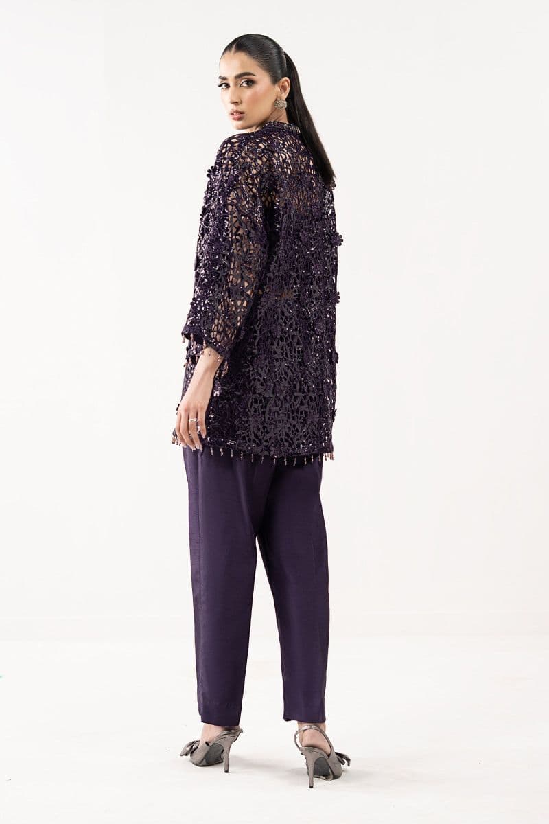 Embroidered Lace Fabric (1Pc) thumbnail