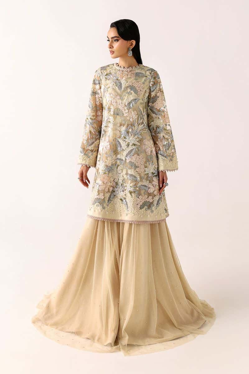 Embroidered Net Fabric (1Pc)