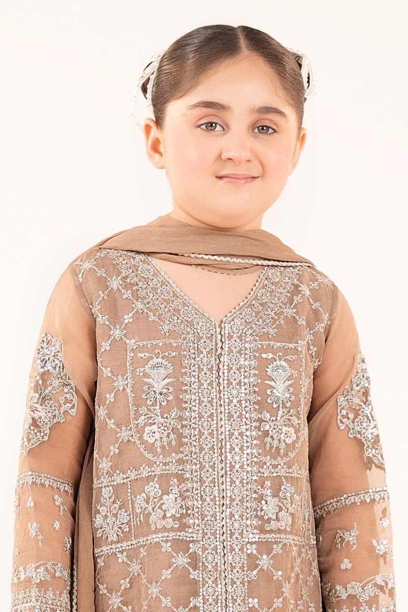 3 Piece Embroidered Organza Suit thumbnail
