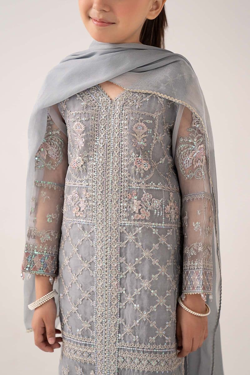 3 Piece Embroidered Organza Suit thumbnail