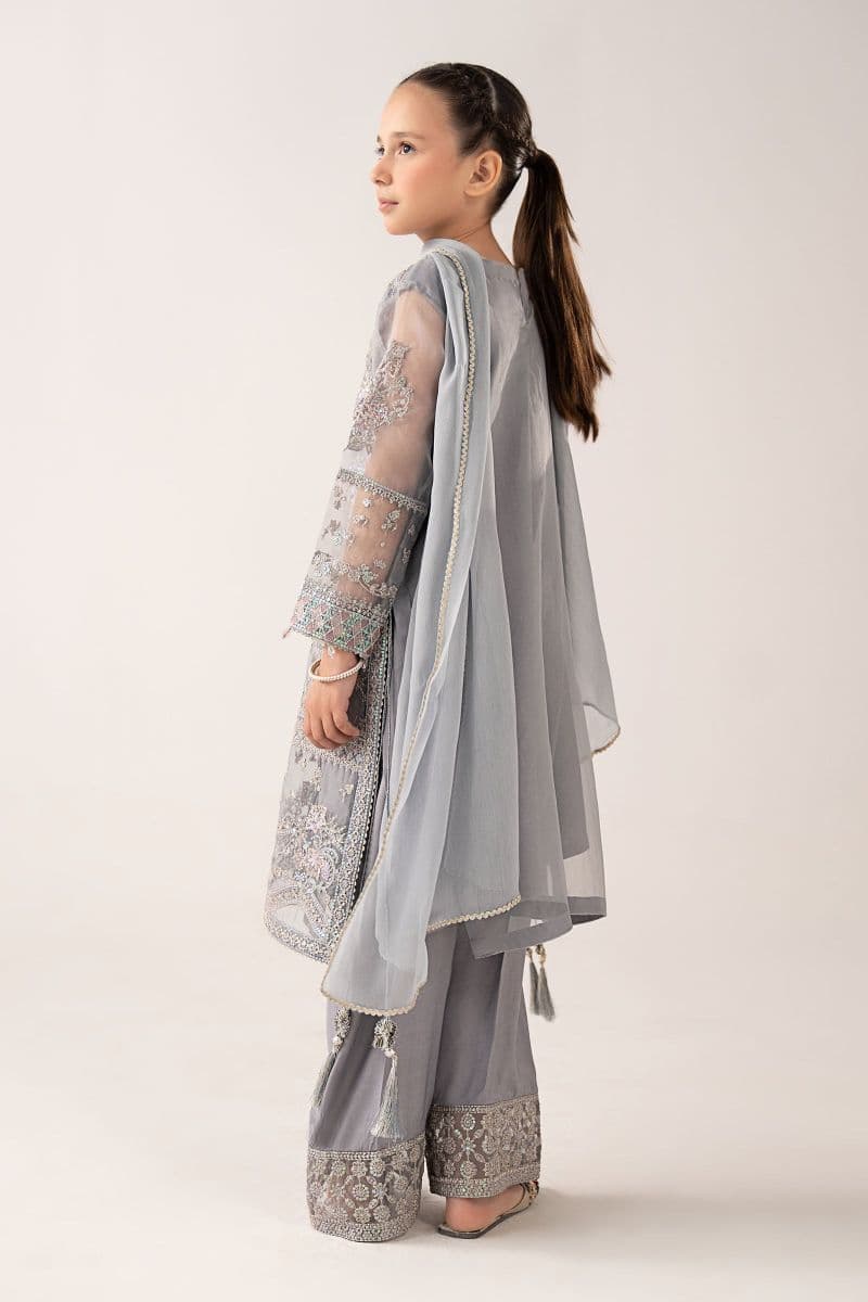 3 Piece Embroidered Organza Suit thumbnail