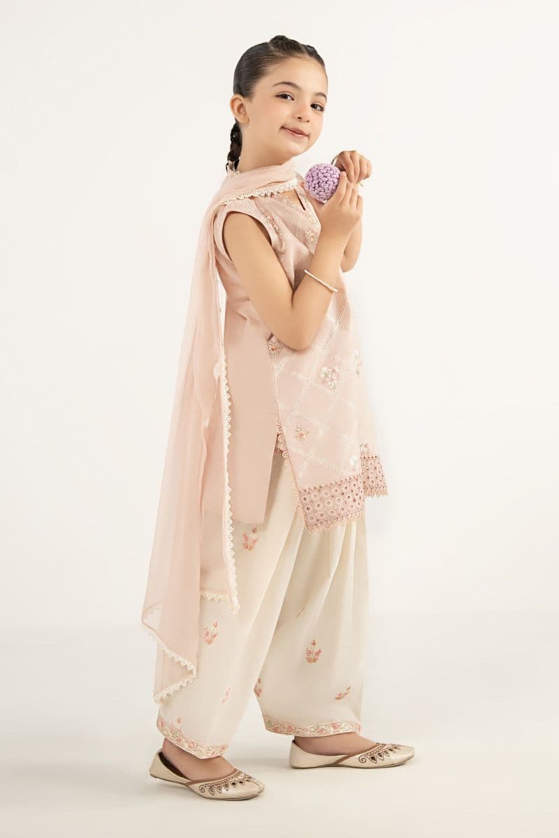 3 Piece Embroidered Dobby Lawn Suit thumbnail
