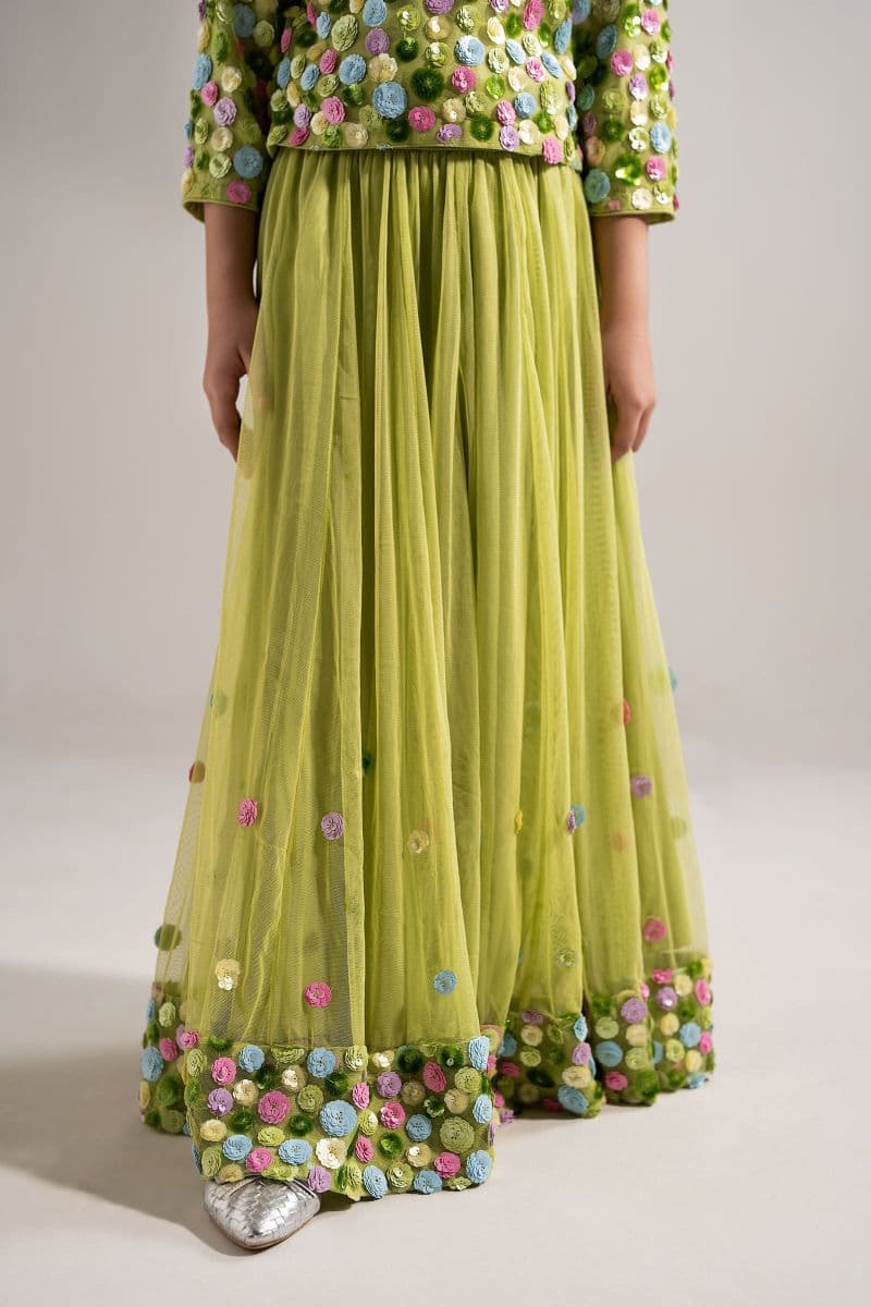 2 Piece Embroidered Net Suit thumbnail