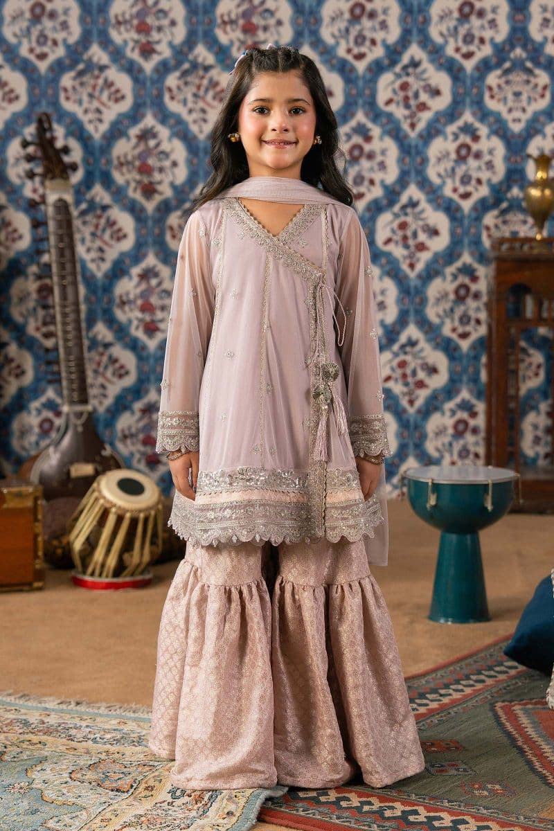 3 Piece Embroidered Net Suit thumbnail