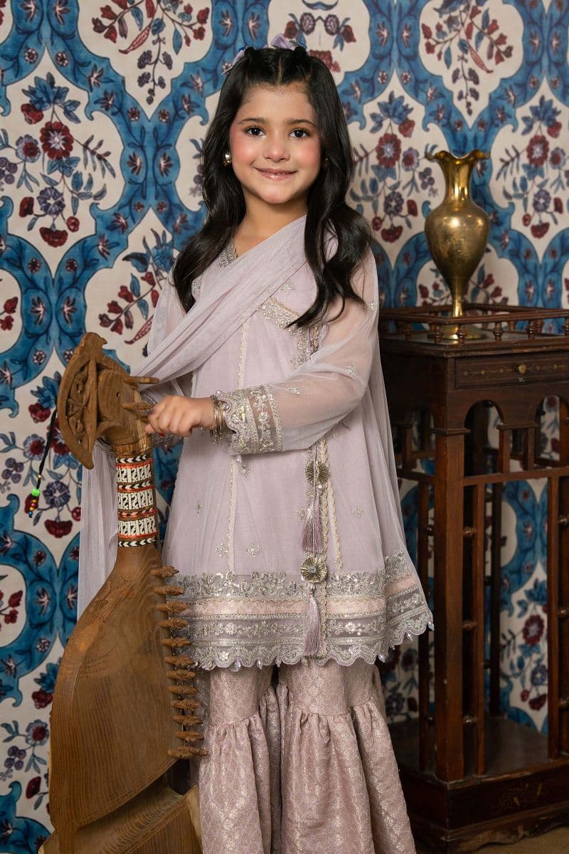 3 Piece Embroidered Net Suit thumbnail