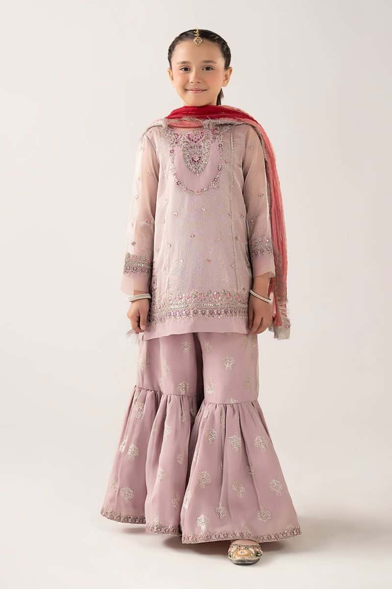 3 Piece Embroidered Zari Net Suit