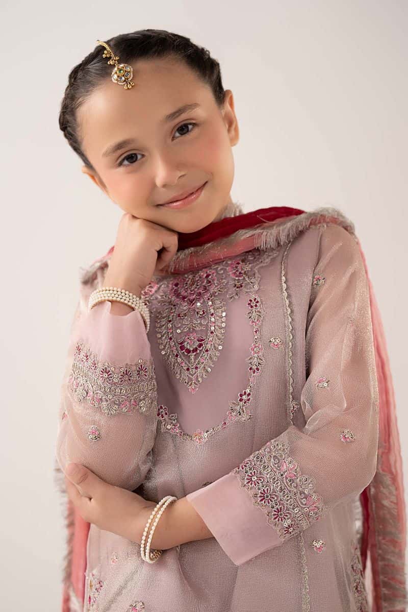 3 Piece Embroidered Zari Net Suit - alternate view
