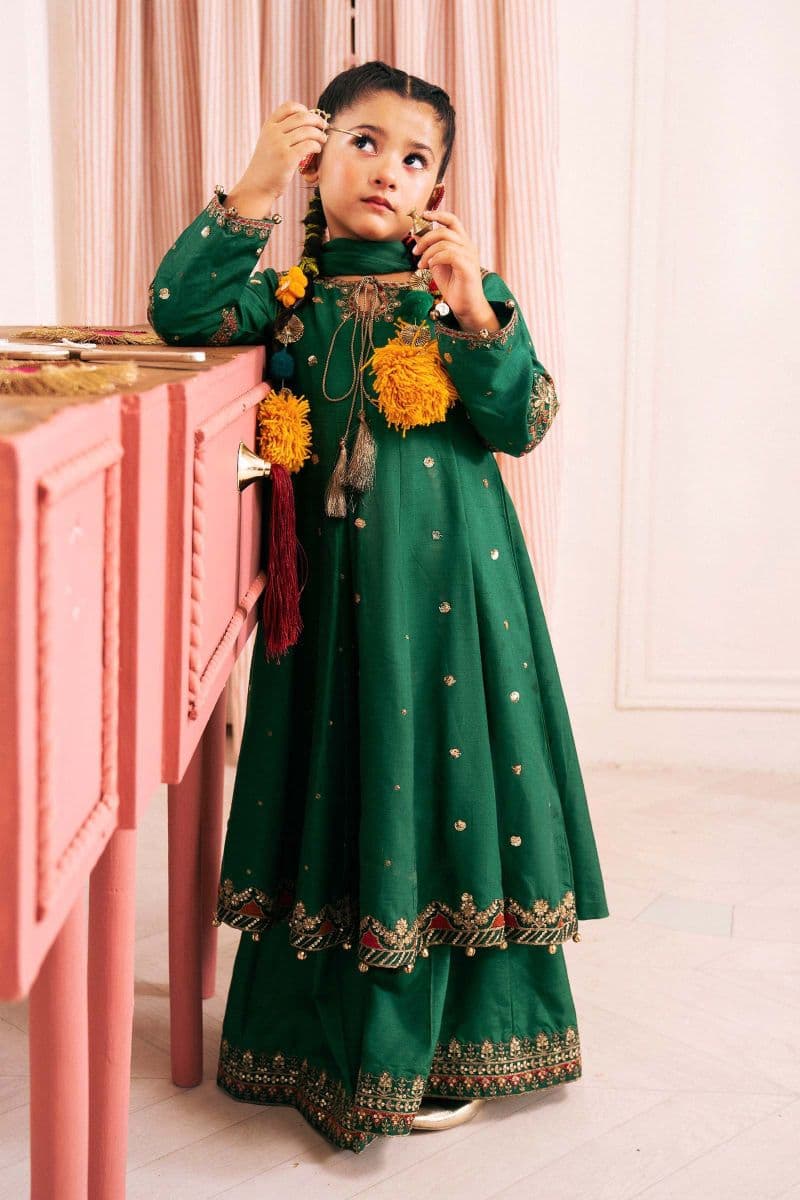 3 Piece Embroidered Bamberg Raw Silk Suit thumbnail