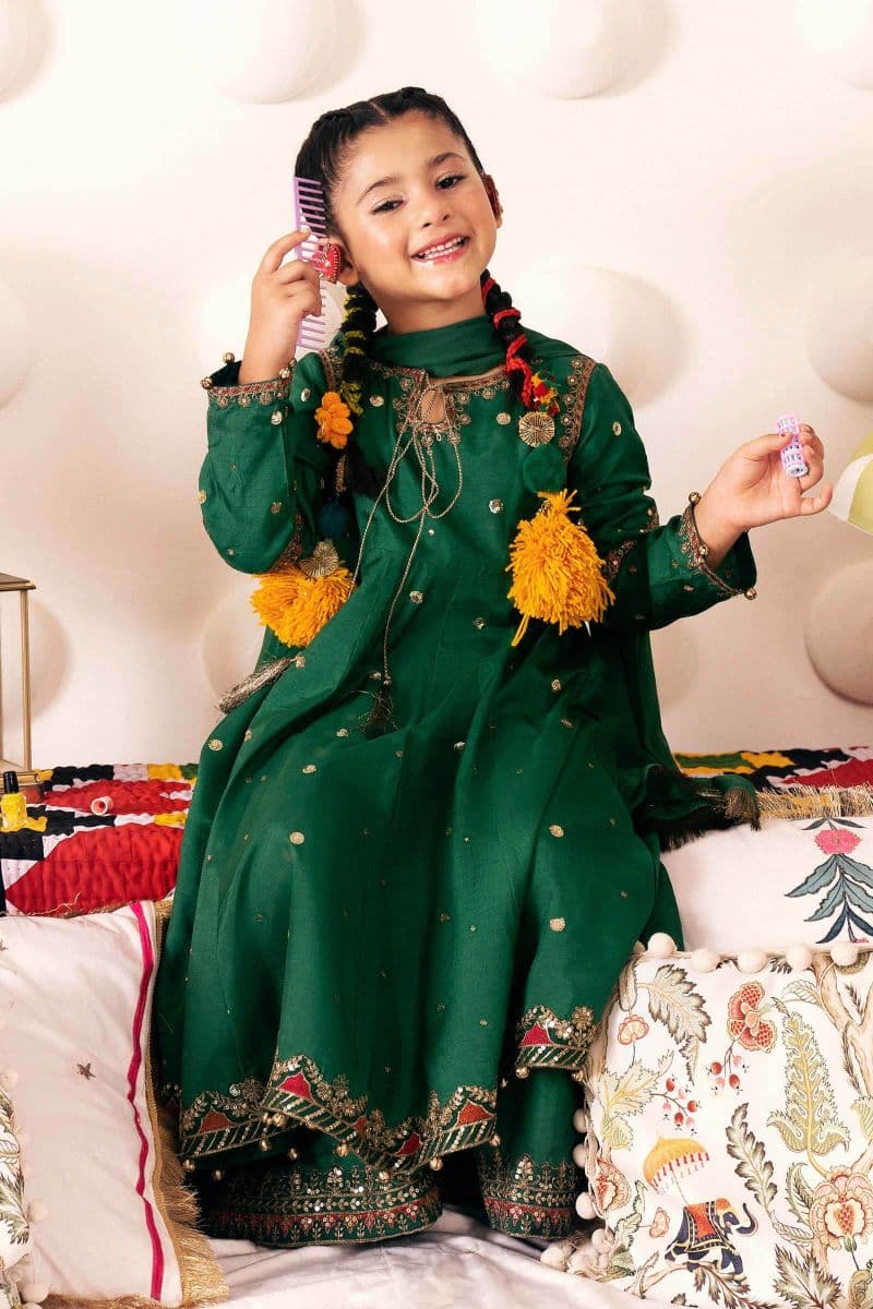 3 Piece Embroidered Bamberg Raw Silk Suit thumbnail