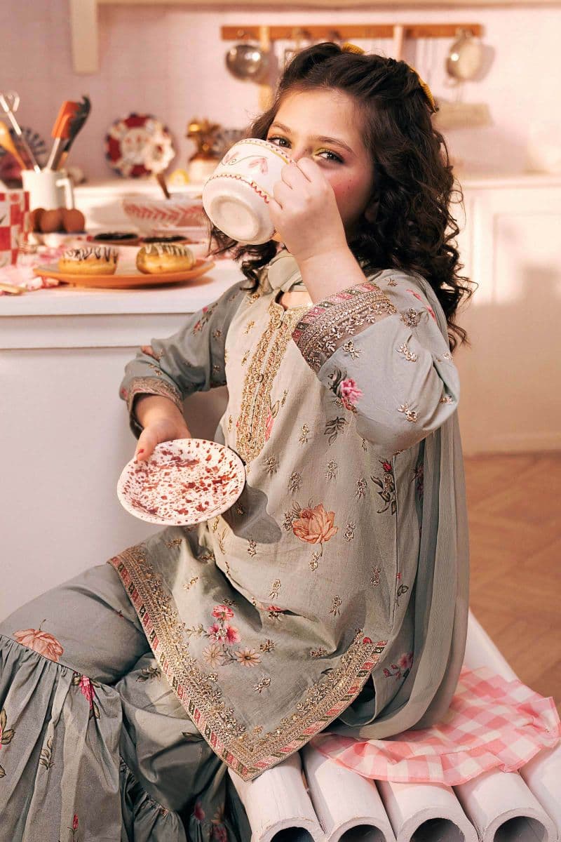 3 Piece Embroidered Lawn Suit thumbnail