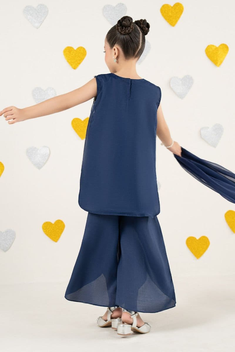 3 Piece Embroidered Organza Suit thumbnail