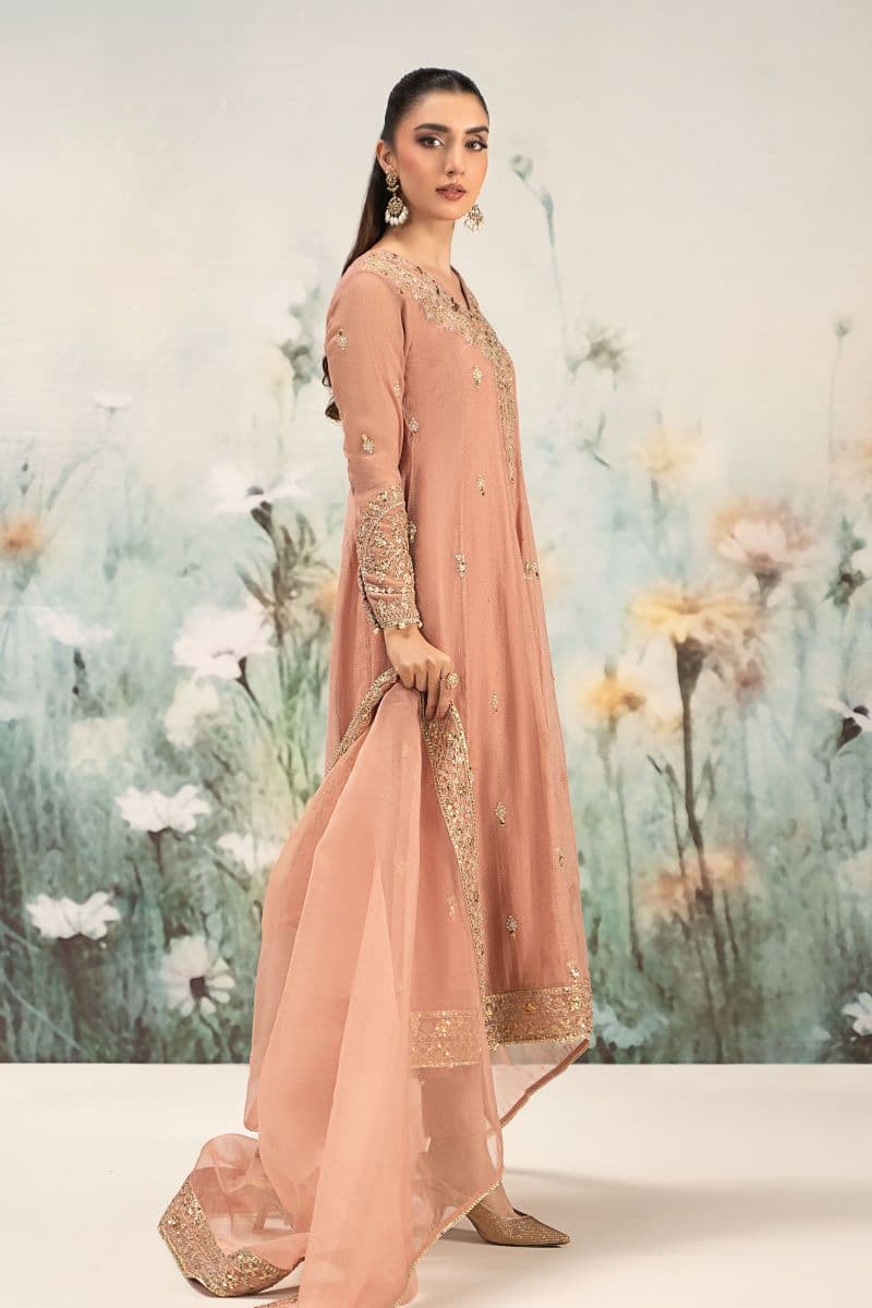 3 Piece Embroidered Cotton Net Suit thumbnail