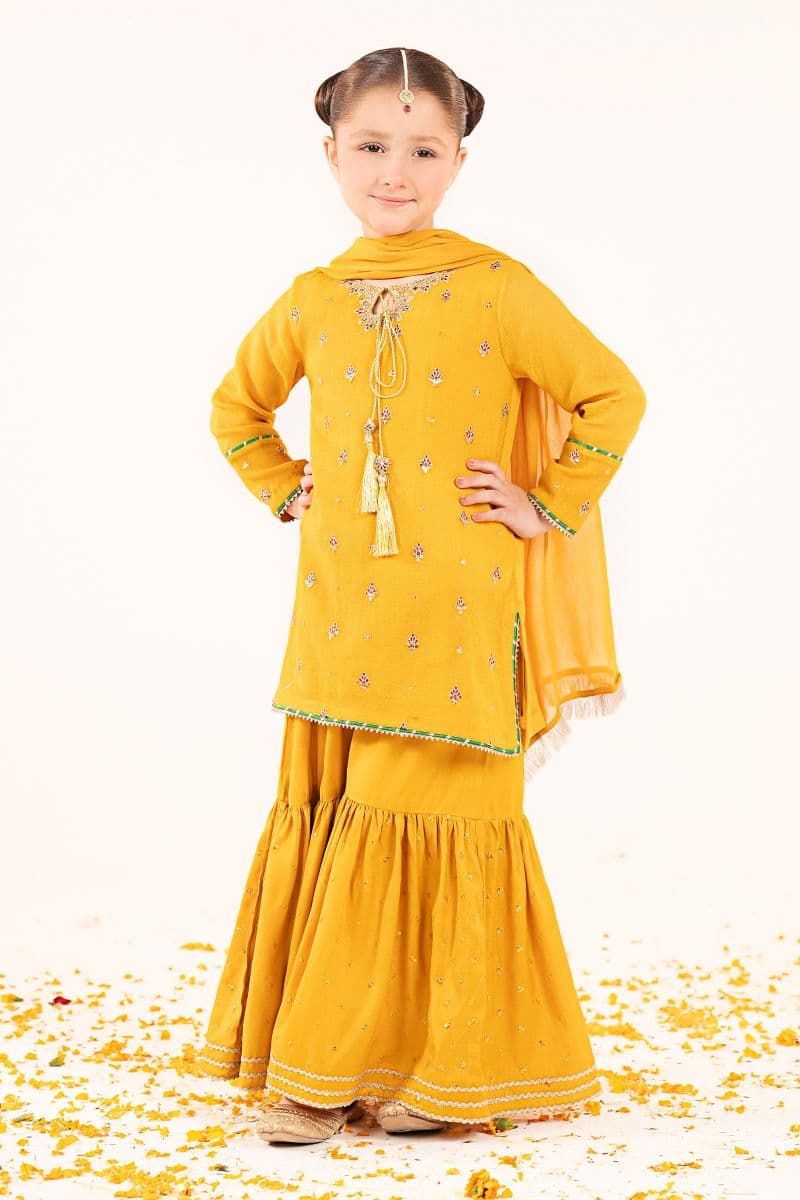 3 Piece Embroidered Cotton Net Suit thumbnail