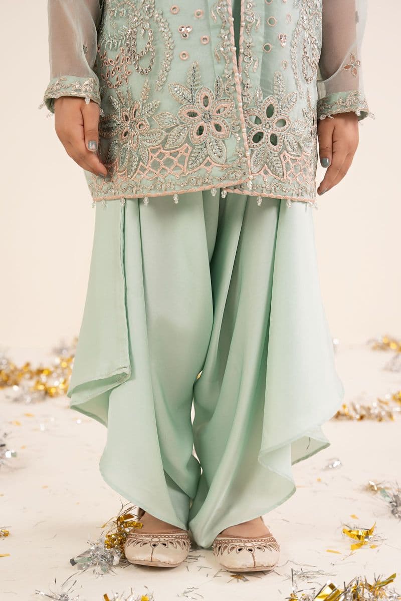 2 Piece Embroidered Organza Suit thumbnail