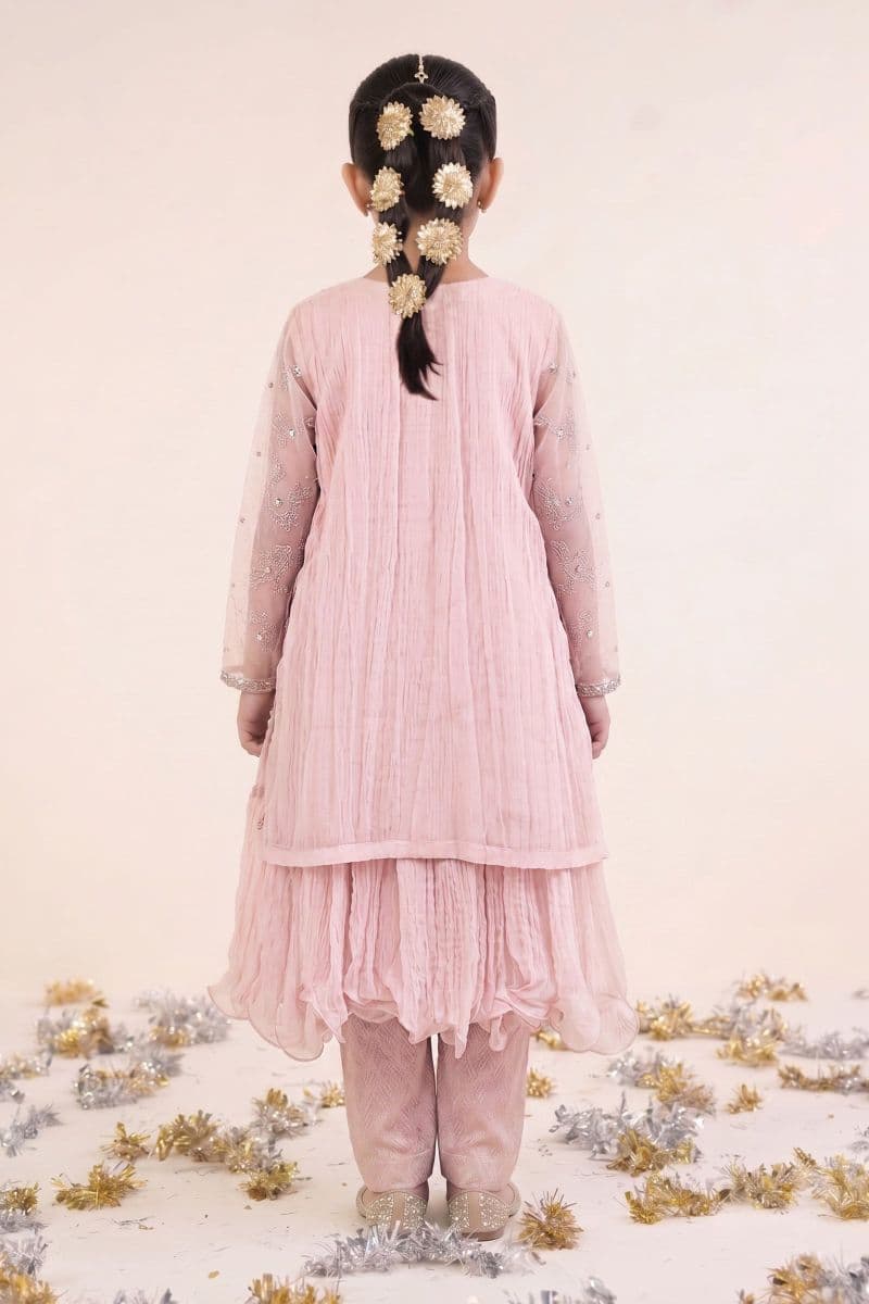 2 Piece Embroidered Organza Suit thumbnail