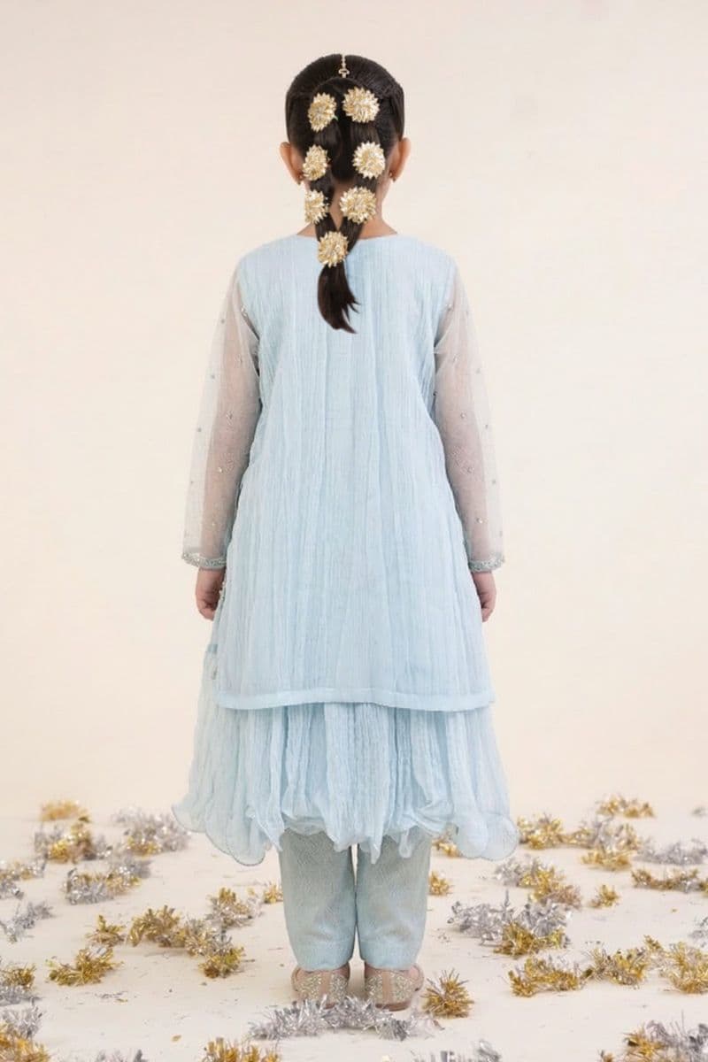 2 Piece Embroidered Organza Suit thumbnail