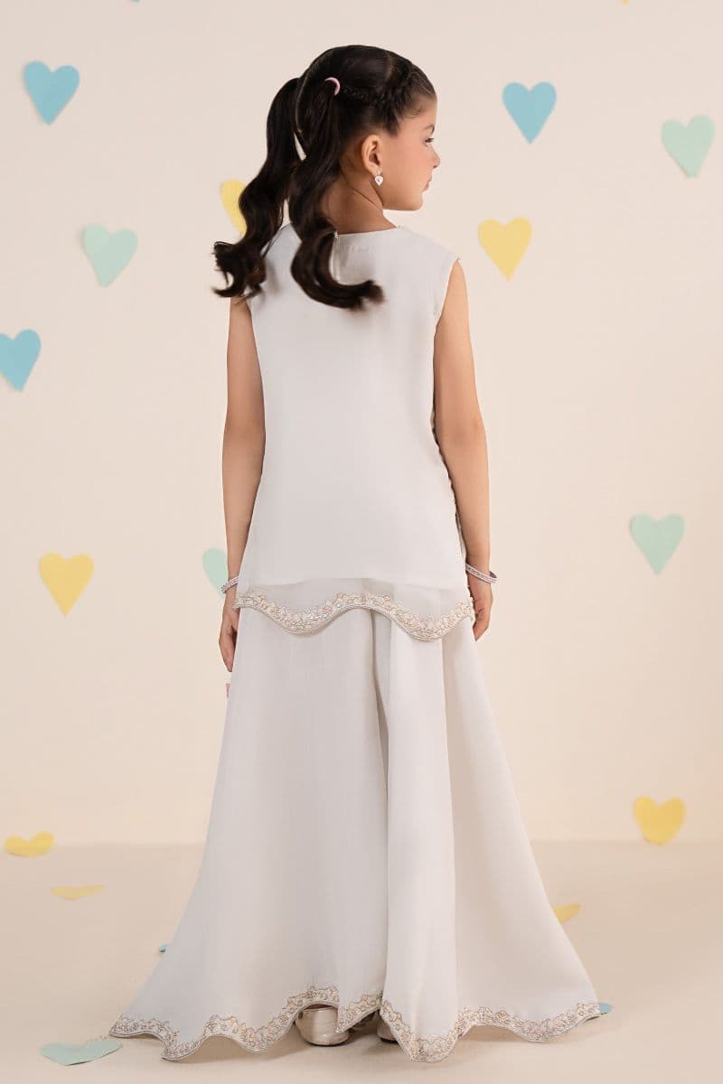 2 Piece Embroidered Chiffon Suit thumbnail
