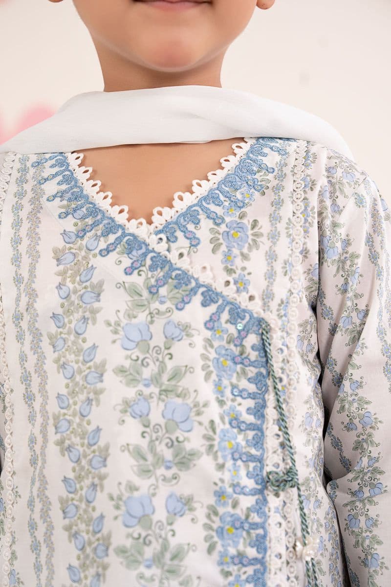 3 Piece Embroidered Lawn Suit thumbnail
