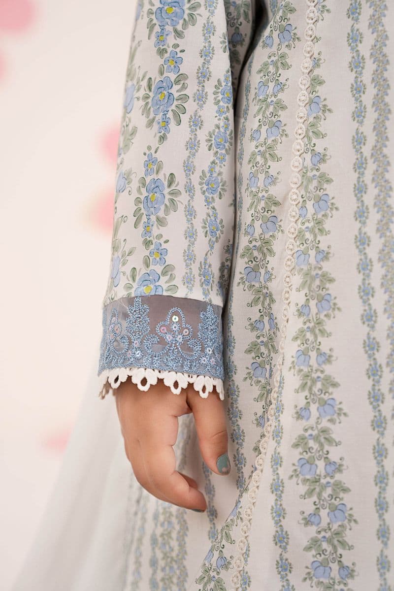 3 Piece Embroidered Lawn Suit thumbnail