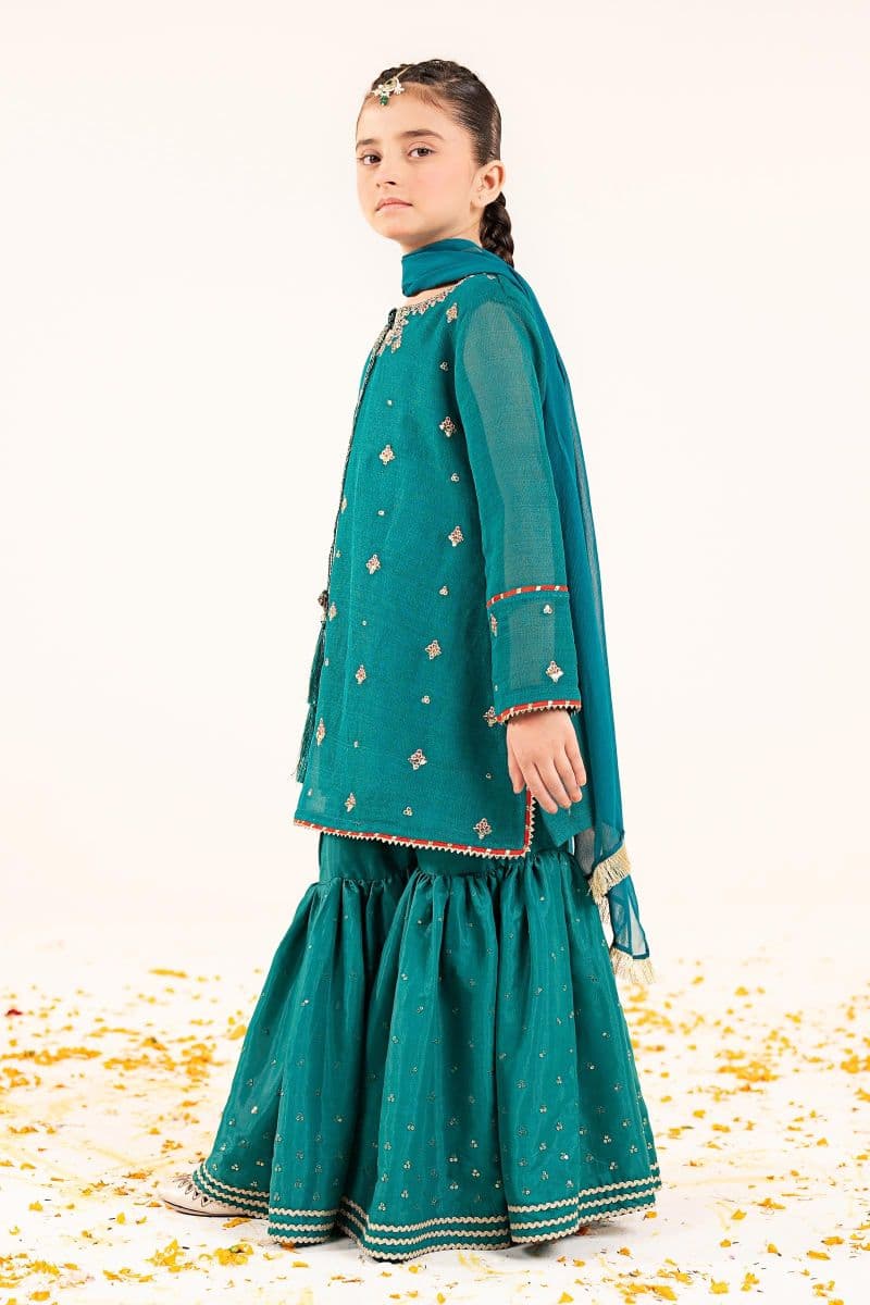 3 Piece Embroidered Cotton Net Suit thumbnail