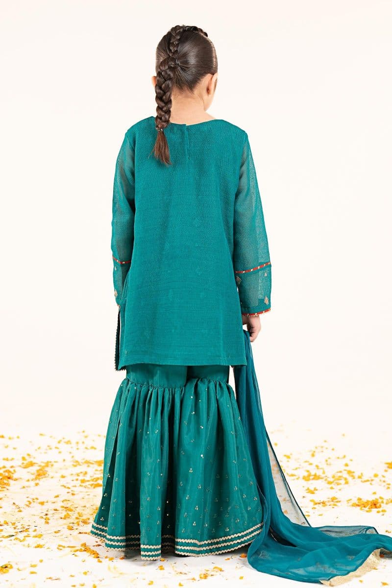 3 Piece Embroidered Cotton Net Suit thumbnail