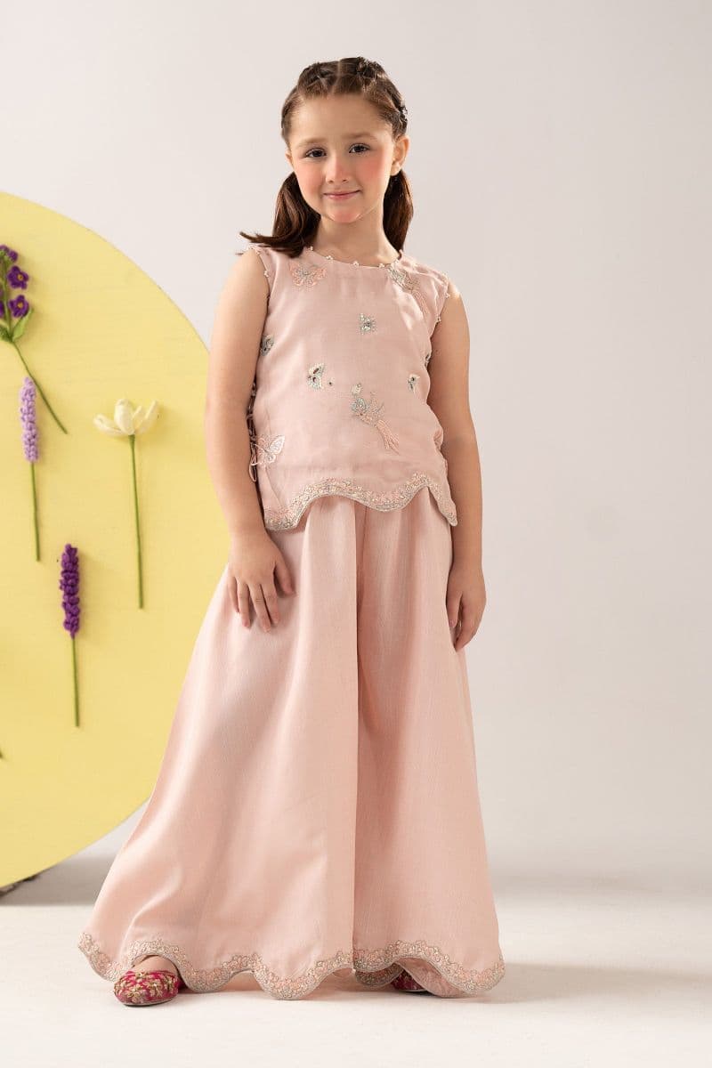 2 Piece Embroidered Chiffon Suit thumbnail