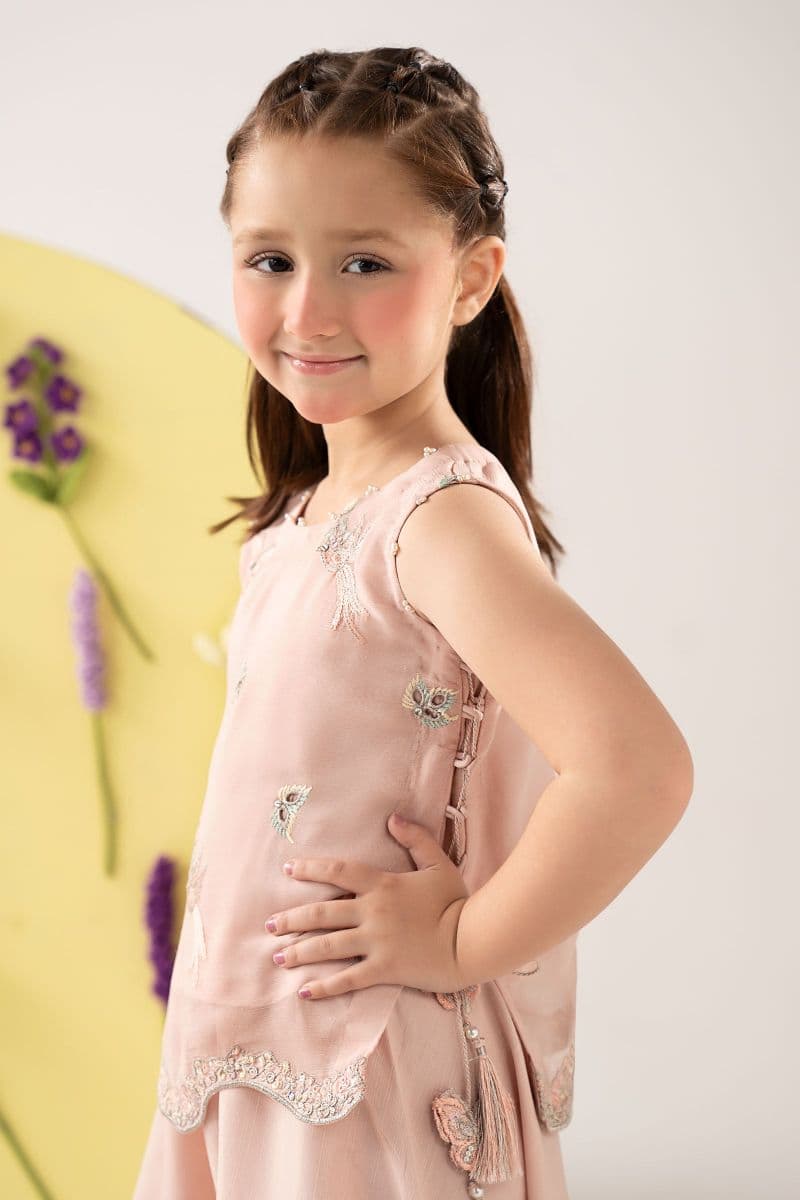 2 Piece Embroidered Chiffon Suit thumbnail
