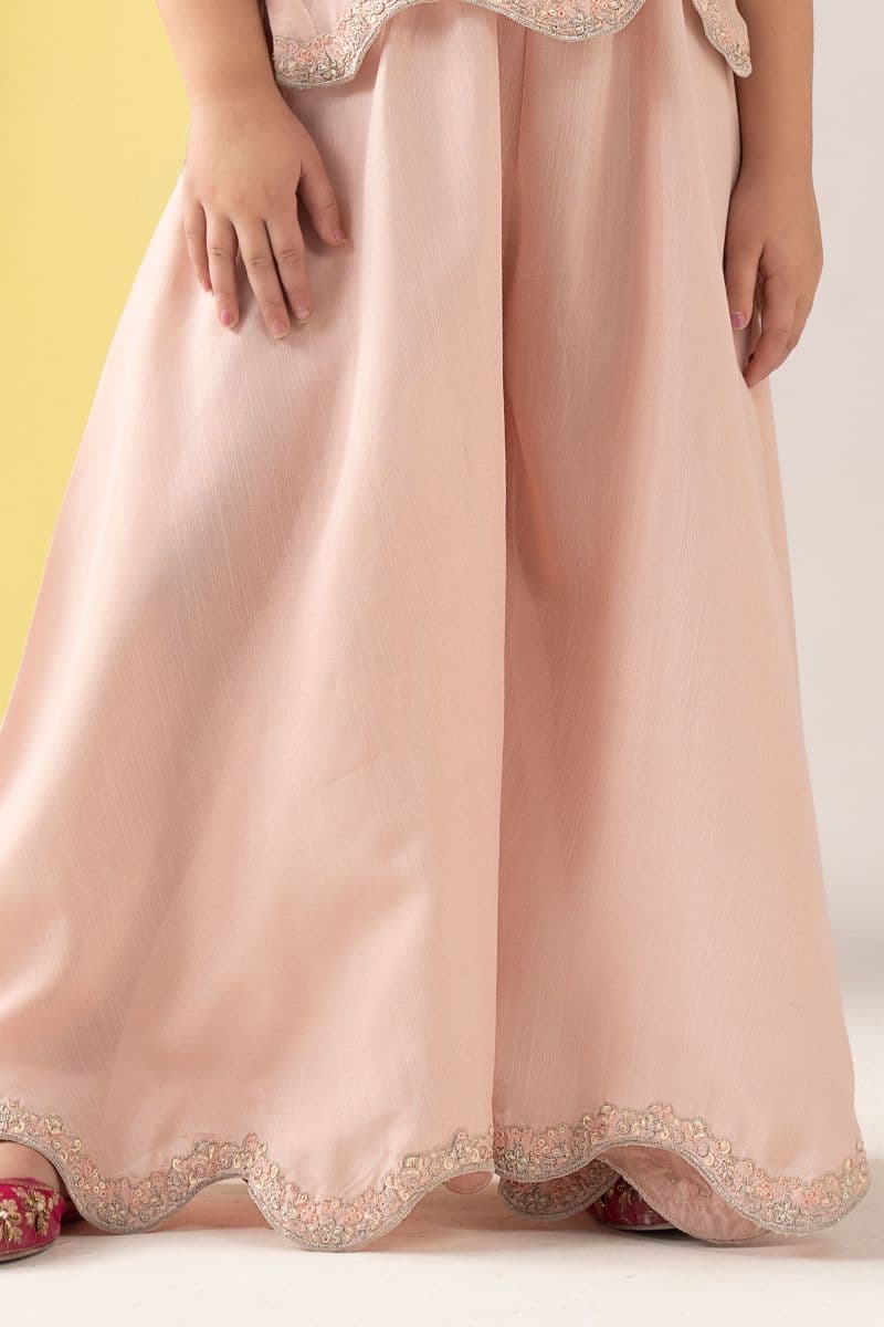 2 Piece Embroidered Chiffon Suit thumbnail