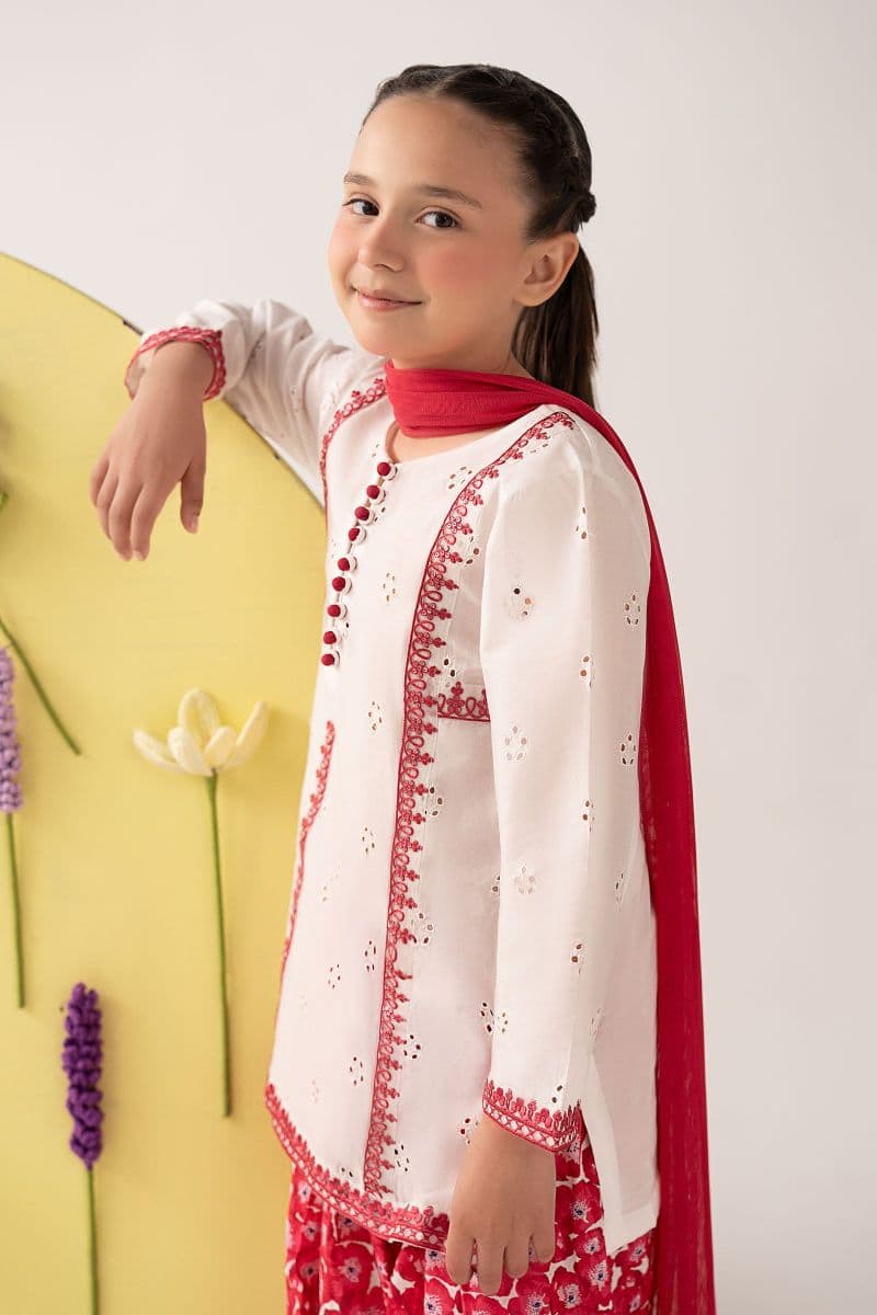 3 Piece Embroidered Lawn Suit thumbnail