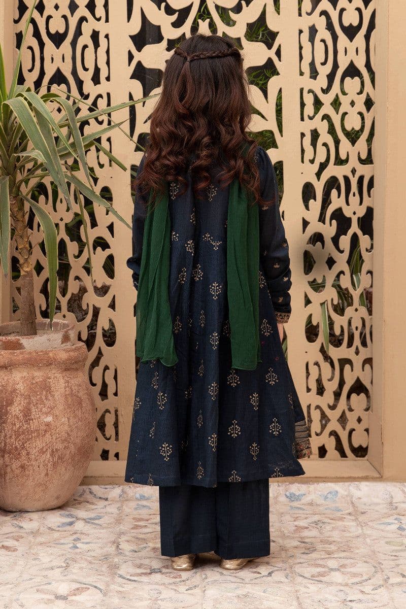 2 Piece Embroidered Lawn Suit thumbnail