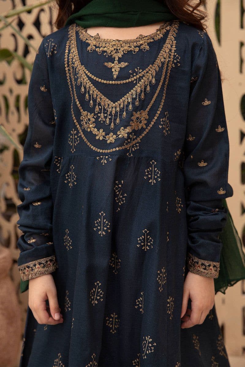 2 Piece Embroidered Lawn Suit thumbnail