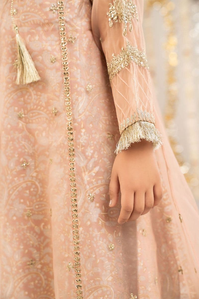 2 Piece Embroidered Organza Suit thumbnail