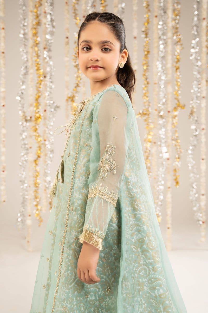 2 Piece Embroidered Organza Suit thumbnail