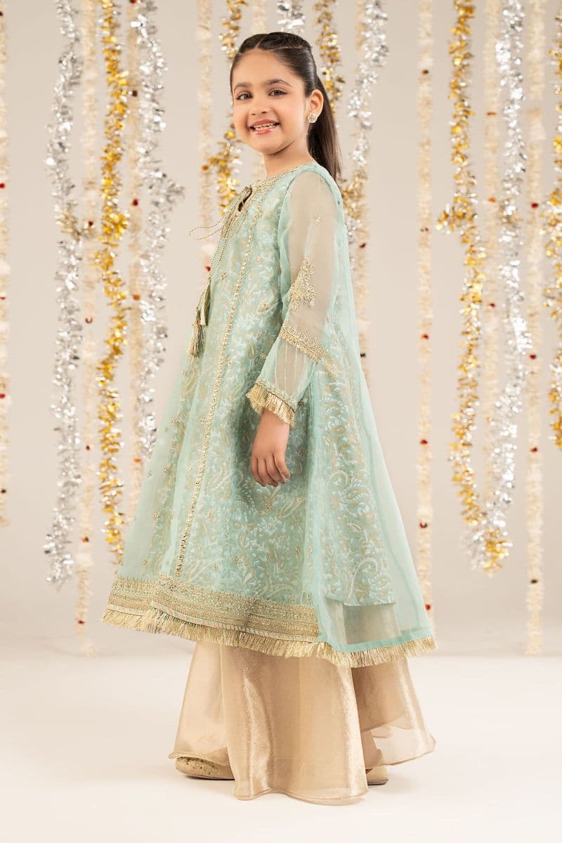 2 Piece Embroidered Organza Suit thumbnail