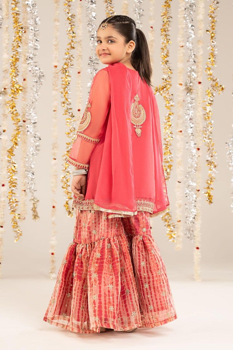 2 Piece Embroidered Organza Suit thumbnail