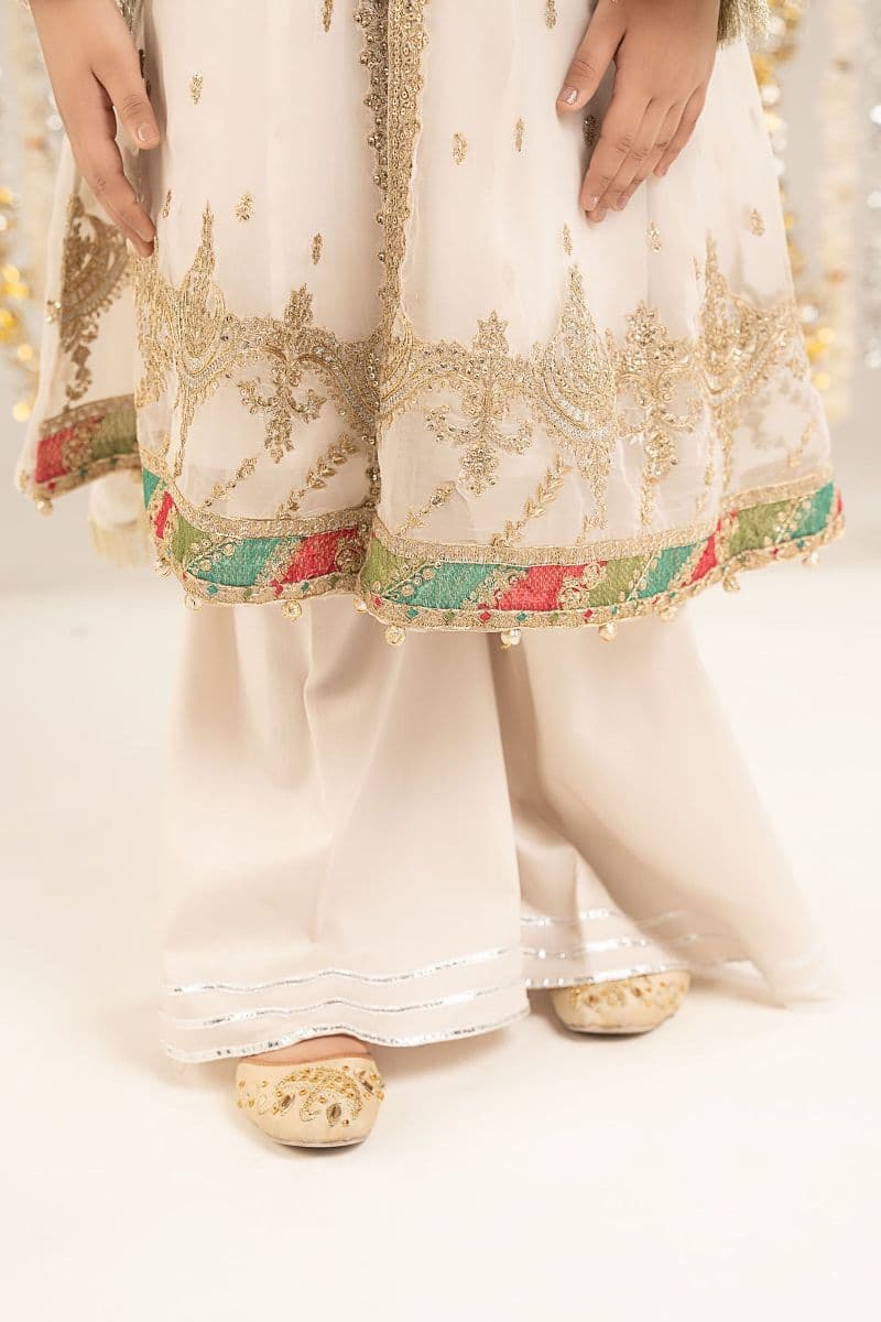 2 Piece Embroidered Organza Suit thumbnail