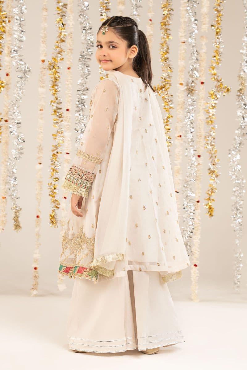 2 Piece Embroidered Organza Suit thumbnail