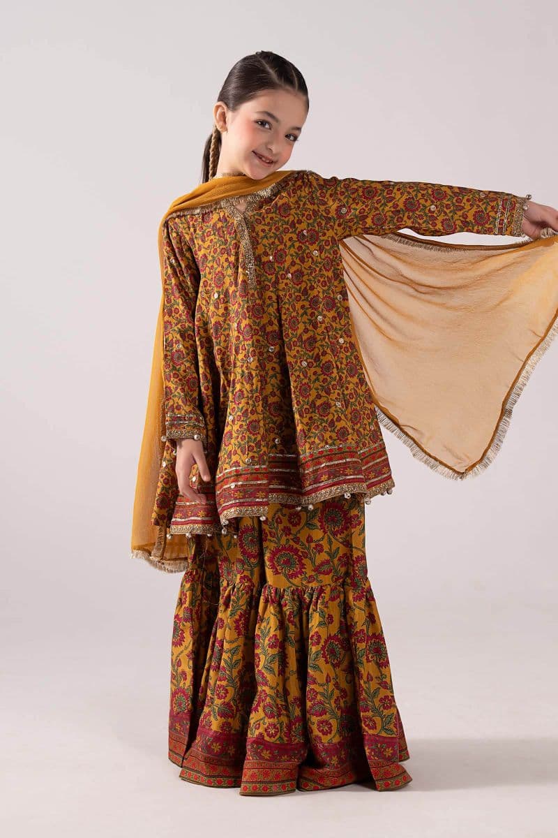 3 Piece Embroidered Raw Silk Suit thumbnail