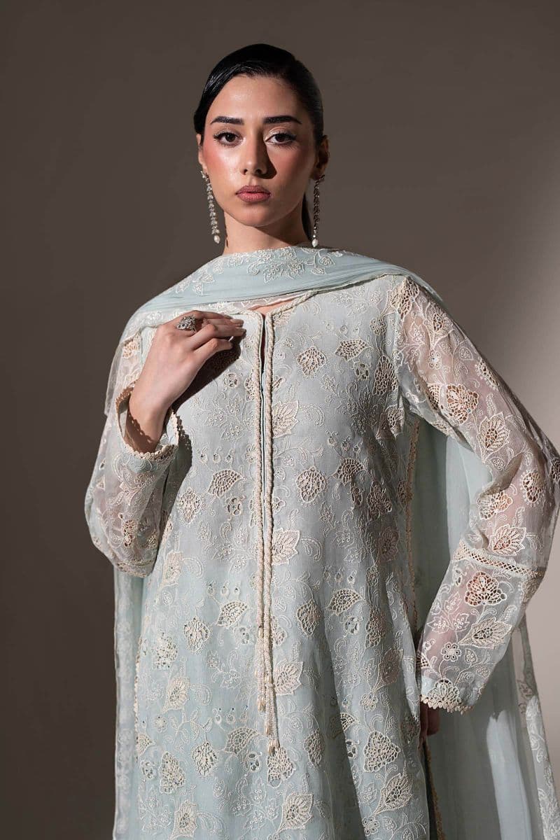 Embroidered Chiffon Fabric (3Pcs) thumbnail