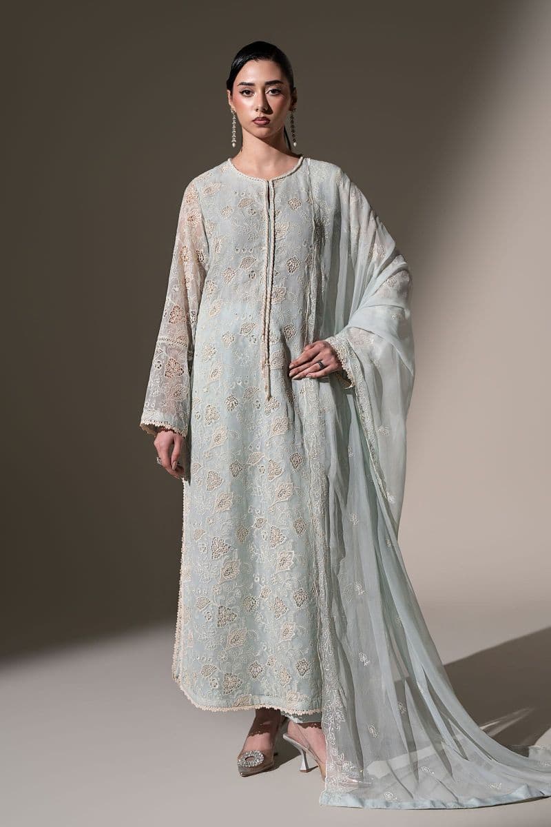 Embroidered Chiffon Fabric (3Pcs) thumbnail