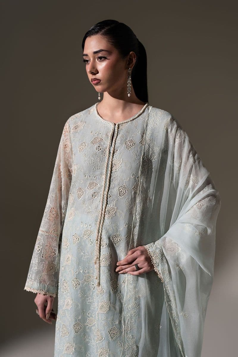 Embroidered Chiffon Fabric (3Pcs) thumbnail