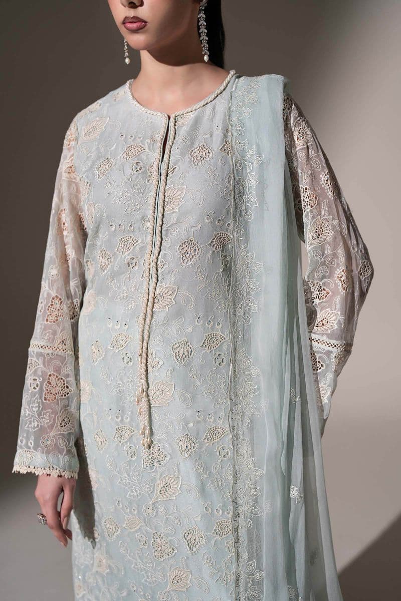 Embroidered Chiffon Fabric (3Pcs) thumbnail