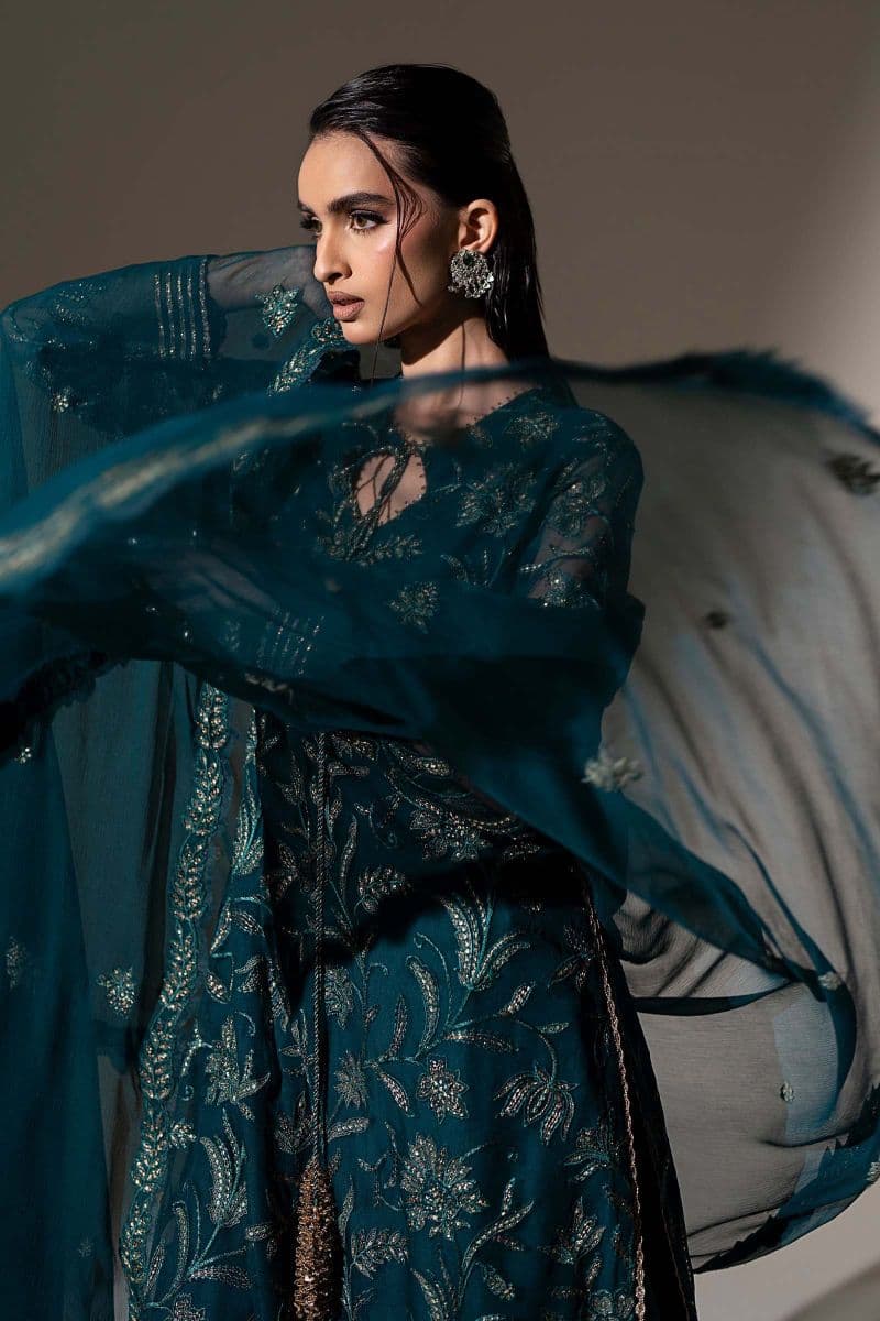 Embroidered Chiffon Fabric (2Pcs) thumbnail