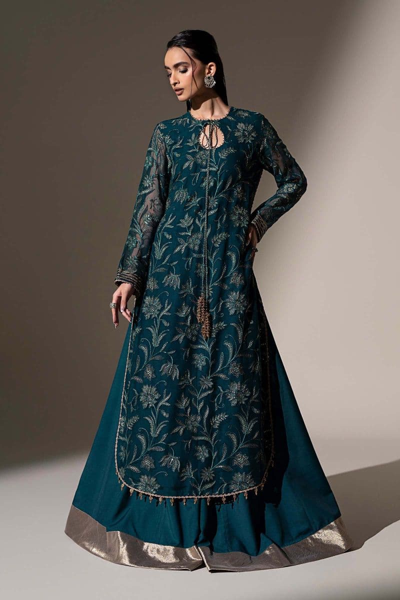 Embroidered Chiffon Fabric (2Pcs) thumbnail