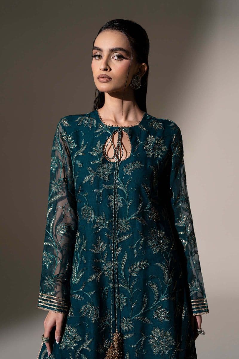 Embroidered Chiffon Fabric (2Pcs) thumbnail