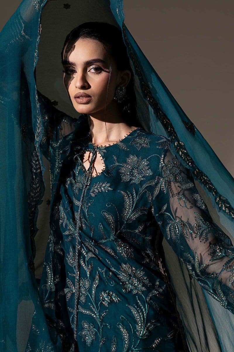Embroidered Chiffon Fabric (2Pcs) thumbnail