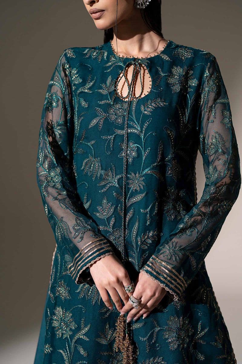 Embroidered Chiffon Fabric (2Pcs) thumbnail