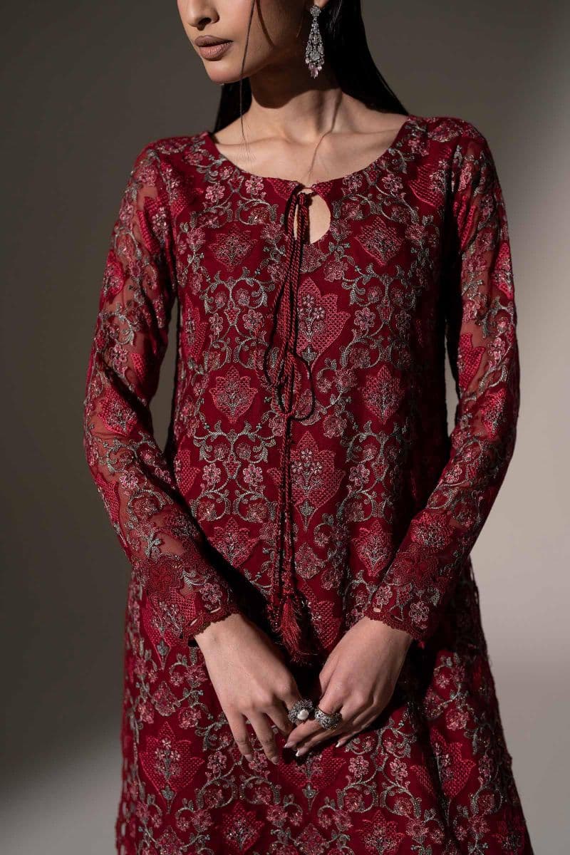 Embroidered Chiffon Fabric (3Pcs) thumbnail